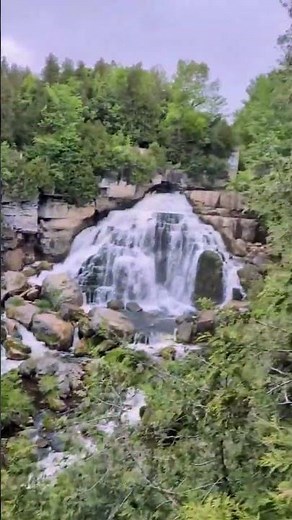 Inglis Falls, Ontario 💦 | Stunning Waterfall & Scenic Trails