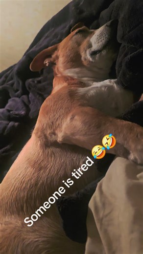 Dillon J (@dillonjensen21)’s videos with Snoozin - Tatum Talks