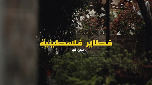 Exploring Bethlehem: A Love for Palestine