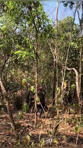 The Thai soldier raised his voice, getting extremely angry and cursing at the Cambodians, saying ...