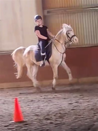 𝒯𝒾𝒶𝓇𝓃𝒶 (@tiarna_jade29)’s videos with som original - sloow ♪