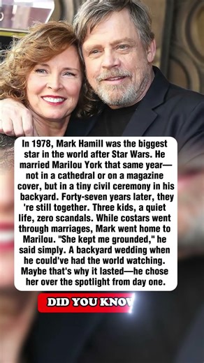1978: Mark Hamill Could've Had Any Wedding. He Picked a Backyard Instead