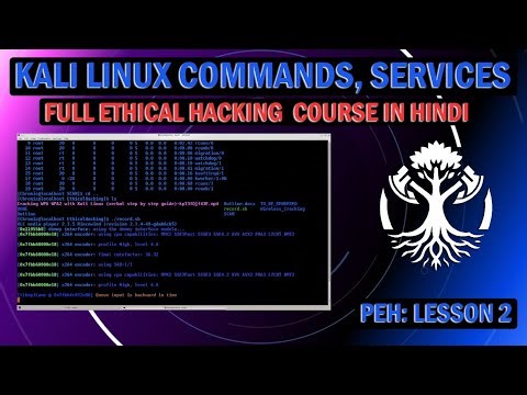 lesson 2 : Practical Ethical Hacking full course in hindi | basic commands