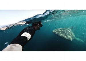 In fünf einfachen Schritten zum perfekten Vlog | GoPro