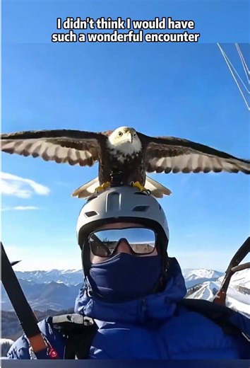 Wildlife: Humans,you’ve successfully caught my attention❤️🥰#love #animal #cute #photographer