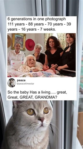 6 generations together in one room