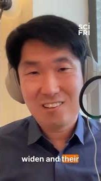 We have found life in space!