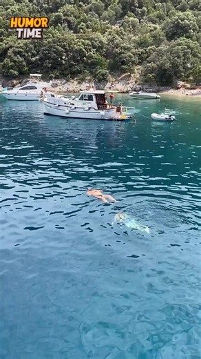 138K views · 642 reactions | This Nap Didn’t Age Well!⏳藍 | Humor Time | Facebook