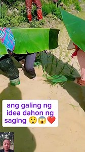 945K views · 9K reactions | Protection sa init Pag mag tanim ng palay  #fbreelsfypシ゚ #fbreelsfyp #farmlife #farmers #highlightseveryone | Rocky Palma | Facebook