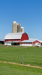 🌟 Cruising down M57 in Central Michigan’s Bushnell Township, and BAM – this massive red barn with its trio of towering silos steals the show! Snapped this gem under a perfect blue sky, surrounded by lush green fields. It’s the epitome of Michigan’s rural heartland! 🚜🌾Did you know? Red barns like this one became iconic in the 1800s when farmers mixed linseed oil with rust (ferrous oxide) for a cheap, protective paint that sealed the wood against harsh Midwest weather. ￼ That rusty red hue? It’