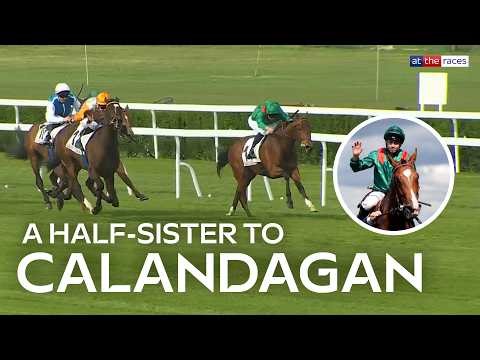 THE NEXT CALANDAGAN? | Calasita is a half-sister to the flat star and wins cosily at Saint-Cloud!
