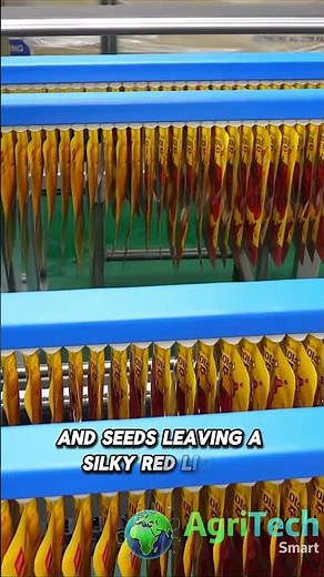 How Tomato Juice Is Made: The Full Industrial Process Behind Tomato Juice Production