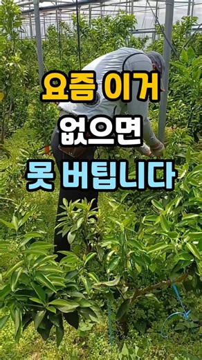 요즘 이거 없으면 못 버팁니다│#선풍기조끼 #공조복 #여름필수템