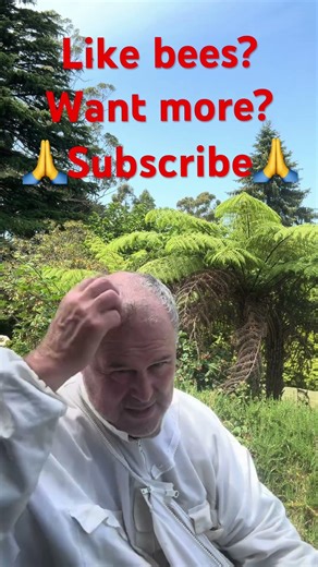 Not Everyone Sticks With Beekeeping