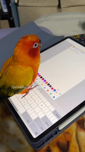 Typing with tiny toes just for y’all! thank you for all the love and support!❤️ | Sprinkles_Artsybirdsquad