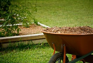 The Best Wheelbarrows of 2024