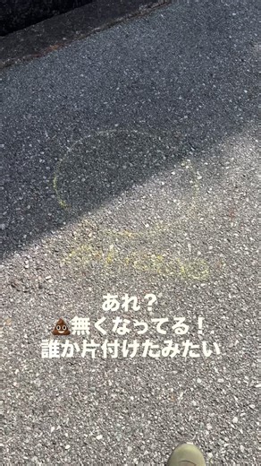 ねこのロデム #ねこのロデム | 昨日家の前に放置された犬の糞💩 自治会からイエローチョーク作戦を進められたので、印をつけておいたら、今朝片付けられていた！近所の方が片付けたみたい。#ねこのロデム #トカイナカで猫と暮らす #犬の糞は飼い主が持ち帰りましょう #イエローチョーク作戦 | Instagram