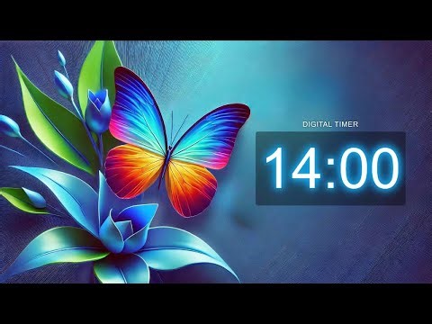 14 Minute Beautiful Butterfly Timer | Calming Countdown for Focus & Relaxation