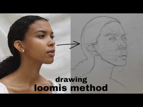 How to draw a portrait using loomis method