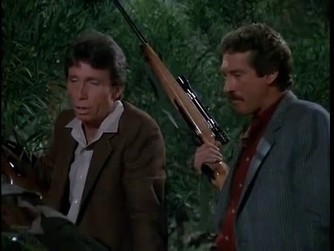 Markie Post Fall guy