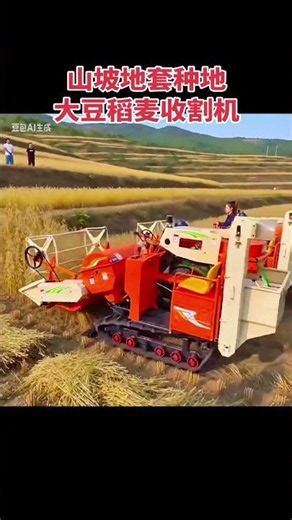 Mountainous Landscapes: Small Rice & Soybean Farms