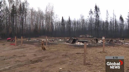 Wildfire devastates East Prairie Metis Settlement in northern Alberta