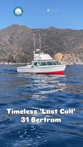 Timeless ‘last call’ Bertram 31 @boatbruddas #sportfishingboats #boats #boatsofinstagram #bertram #bertram31 #intagramboats | Sportfishingboatshq | Facebook
