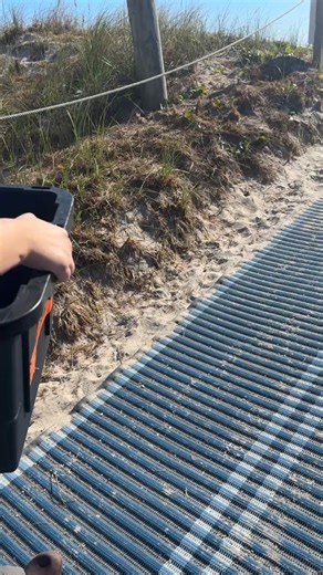 Stealth release 11/6/25 | The Karen Beasley Sea Turtle Rescue and Rehabilitation Center