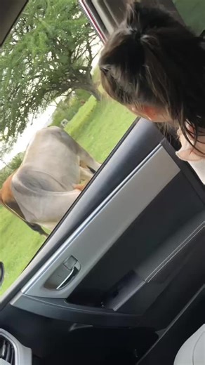 #paratiiiiiiiiiiiiiiiiiiiiiiiiiiiiiii #amorporelcampo🍃 #elsalvador