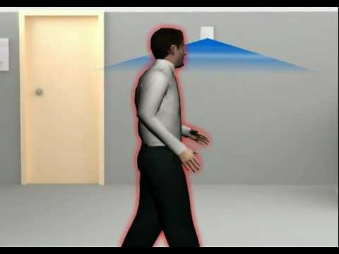 Eurovigil : Intrusion alarm systems (wired and wireless)