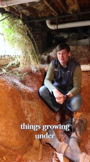 This Crawlspace Had a Secret Garden