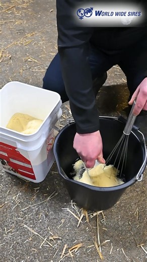 Made with natural whole bovine colostrum Rich in colostral fat - an important energy source for calves Safe & effective - free from TB, EBL, BVD, IBR, Johne's & E.coli Mixes easily in 15 seconds Dairy calves are the next generation of animals in the milking herd. To reach their genetic potential, they need a solid start on the first day of life. Colostrum is essential for calf survival and has lasting impacts on lifelong productivity. With colostrum applications for every calving scenario, SCCL 
