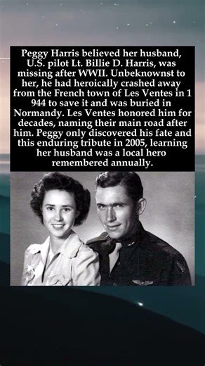 The Hero Remembered: A Widow's 61 Year Discovery #WWIIHero #BillieDHarris #LesVentes