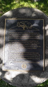 Oldest Weeping American Elm, Provo, UT