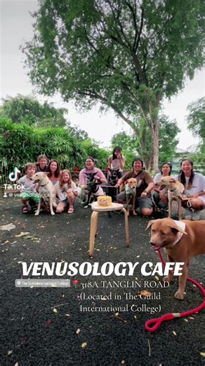 Venusology Cafe: The Ultimate Pet-Friendly Spot