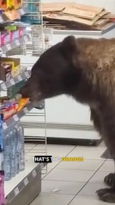 "You're a legend, Bill. See ya next time." 🔊 | Ozzy Man Reviews