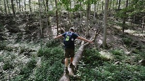A man walking over a fallen tree log in a forest