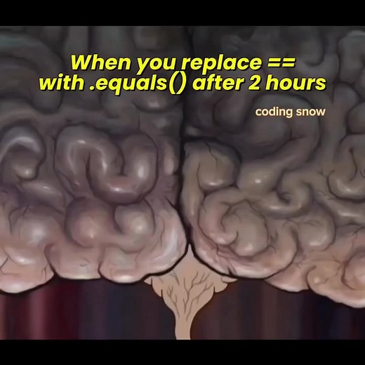 11K views · 145 reactions |  #codingsnow | Coding Snow | Facebook