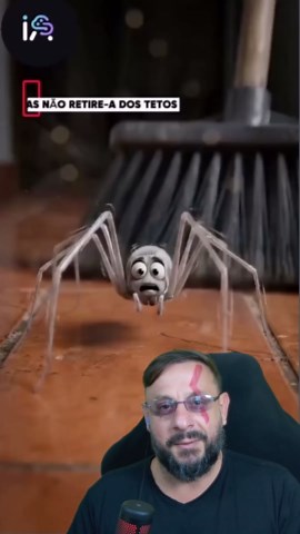 Aranha Treme Treme vs Aranha Marrom: Um Encontro Mortal