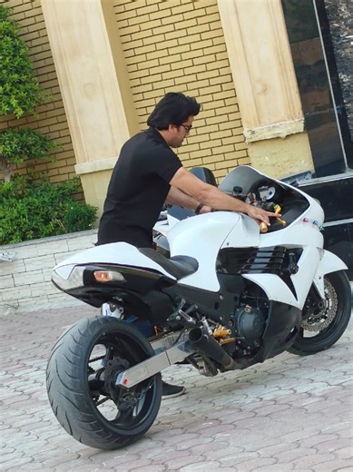 Kawasaki Ninja ZX-14R Fat Beast: Visual Showcase and Features