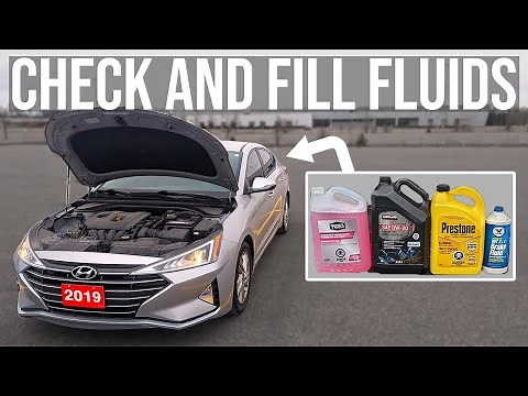 How to Check and Fill Fluids [COMPLETE GUIDE] - Hyundai Elantra (2019-2020)