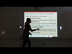 The Endocrine System Part 1.1