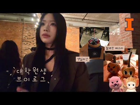 대학원생 vlog | 미국 일리노이 대학원생의 할로윈 🎃 | UIUC KSA 와인나잇 | 유학생 브이로그 | 미국 일상 브이로그 | uiuc vlog