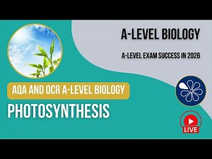 Photosynthesis | A-Level Biology Revision Livestream