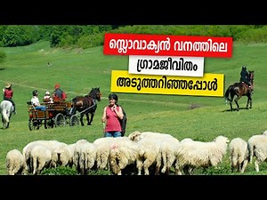 Sancharam | By Santhosh George Kulangara | Slovakia -05 | Safari TV