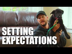 New Puppy at Home? Avoid These Common First-Month Mistakes!