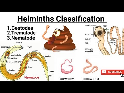 Helminths Classification || #Nematode || #Cestode || #Trematode