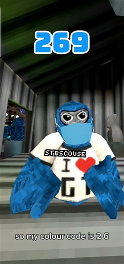 what is my colour code #gorillatag #gtag #colourcode