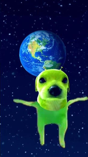 Alien dog# #memes #funny