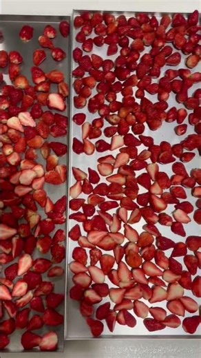 Small Home Freeze Dryer Strawberry Freeze Drying Test | Mini Lyophilizer Experiment